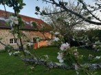 Cottage from the orchard